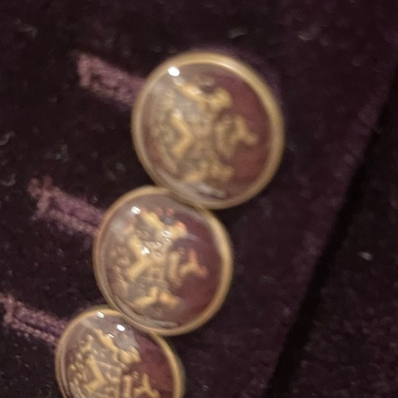 ✨ Massimo Dutti Purple Velvet Blazer – EUC ✨ size EU 42, US 10 - Picture 4 of 11